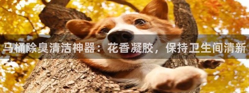 尊龙凯时正规吗：马桶