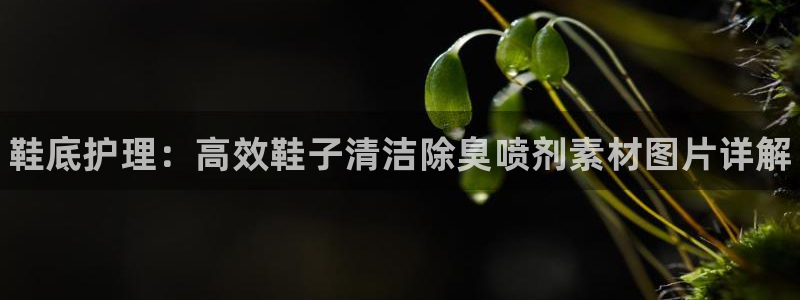 尊龙凯时平台还是万博好