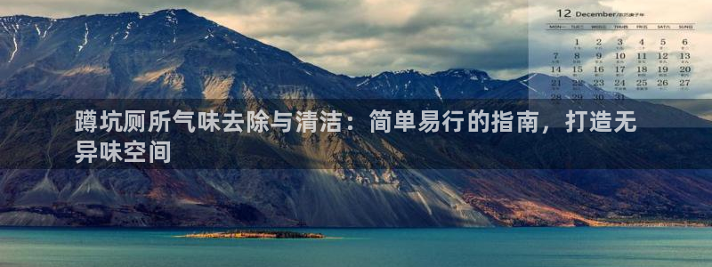 凯时AG网：蹲坑厕所