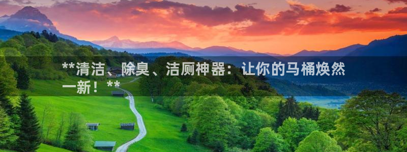 尊龙凯时贴吧：**清洁、除臭、洁厕神器：让你的马桶焕然
