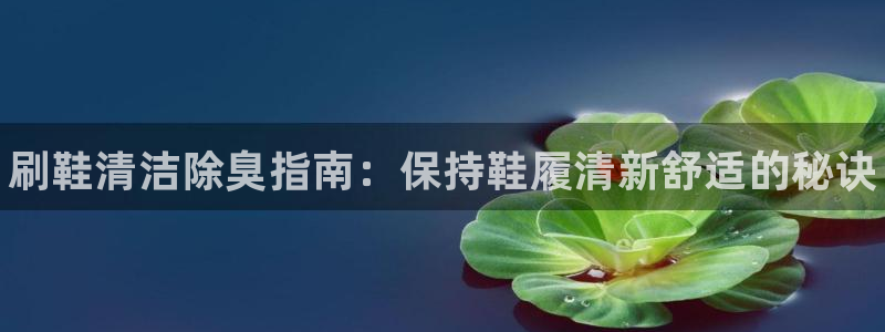 尊龙官网国际：刷鞋清