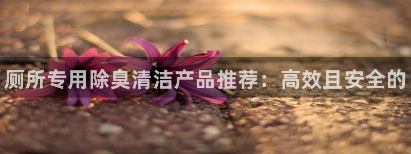 尊龙凯时发展历程