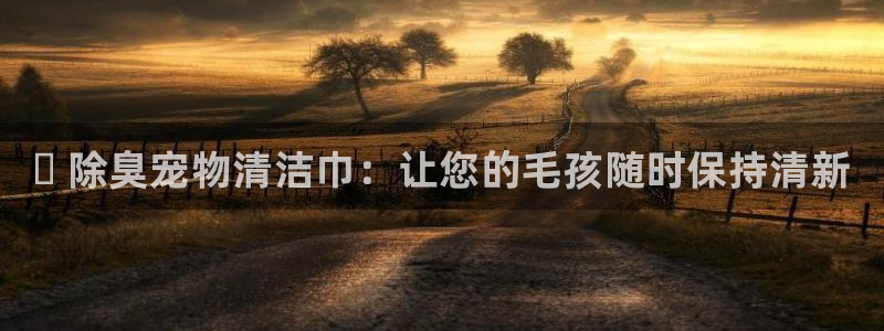 尊龙网平台：✅ 除臭宠物清洁巾：让您的毛孩随时保持清新