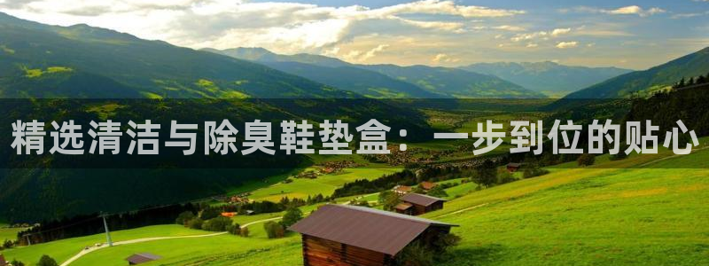 尊龙官网免费下载：精