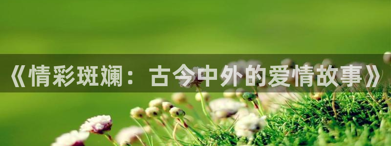 五杀影院官网在线