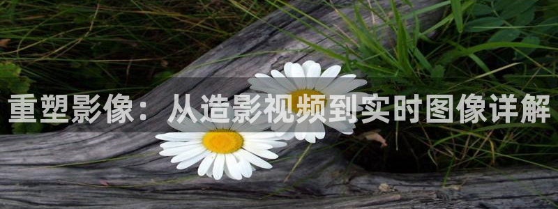 五杀影院官网在线