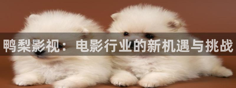五杀影院在线免费观看