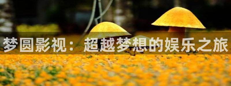 五杀影院在线观看