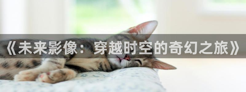 五杀影院版官网入口