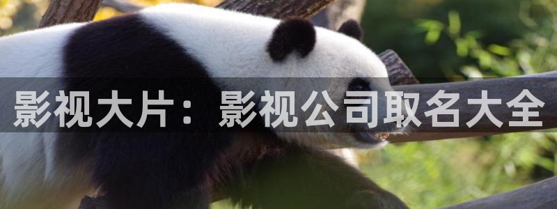 五杀影院在线播放