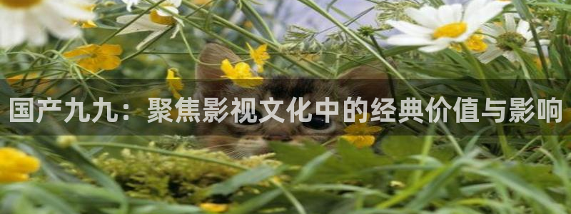 五杀影院在线免费观看